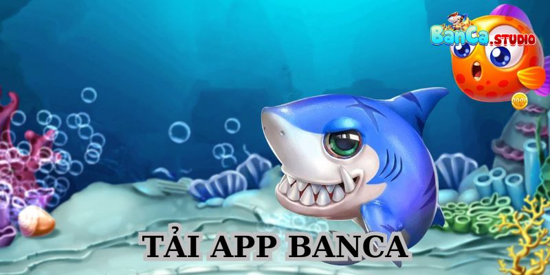 Hướng dẫn cài đặt ứng dụng Banca chi tiết