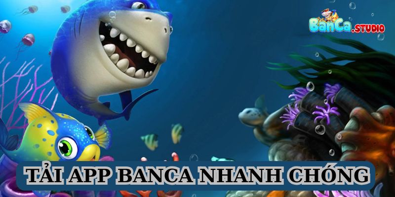 Cài đặt ứng dụng Banca nhanh chóng với thao tác đơn giản