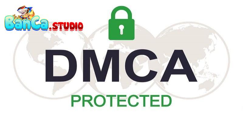 Nhà cái được nhận DMCA về nghĩa vụ chống rửa tiền